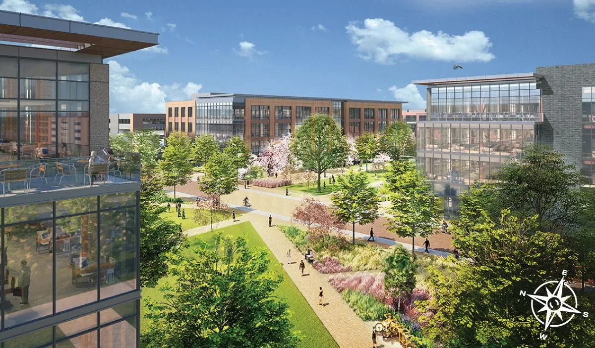 Rendering of the Walmart campus green with flowering trees between office buildings